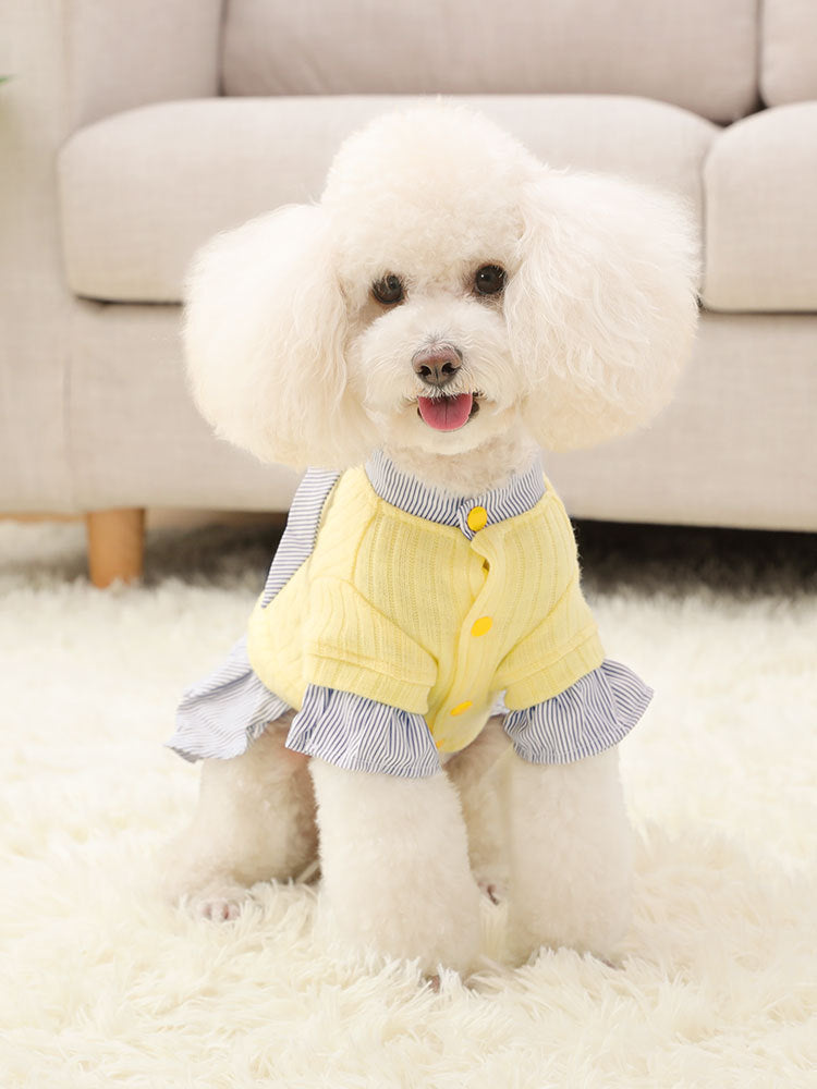 Dog Pet Trendy Autumn And Winter Clothes