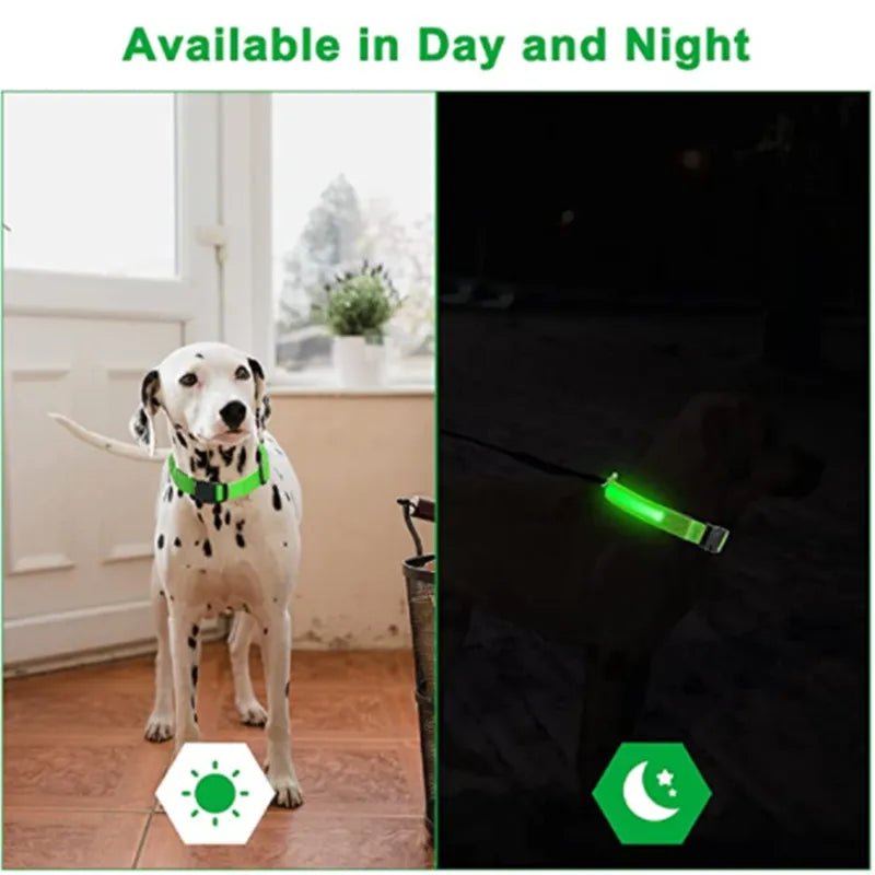 ILLUMISEEN LED Light Up Dog Collar