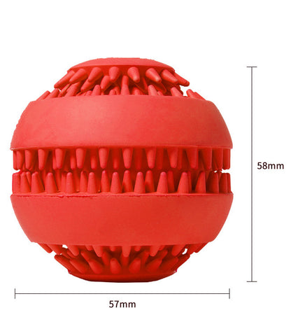 Pet molar ball