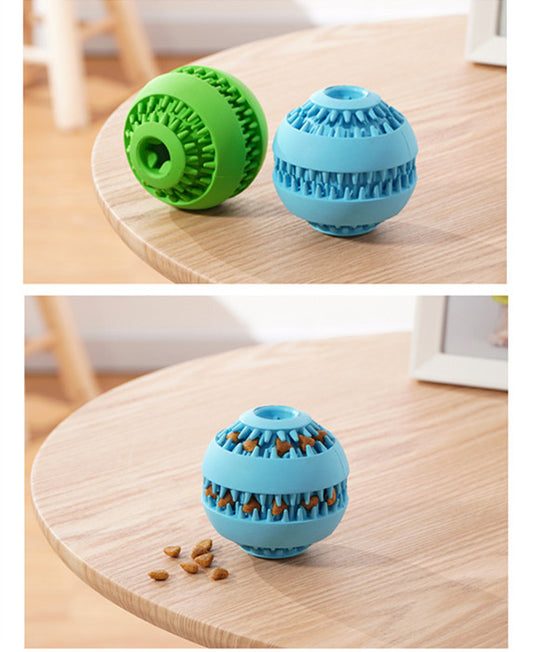 Pet molar ball