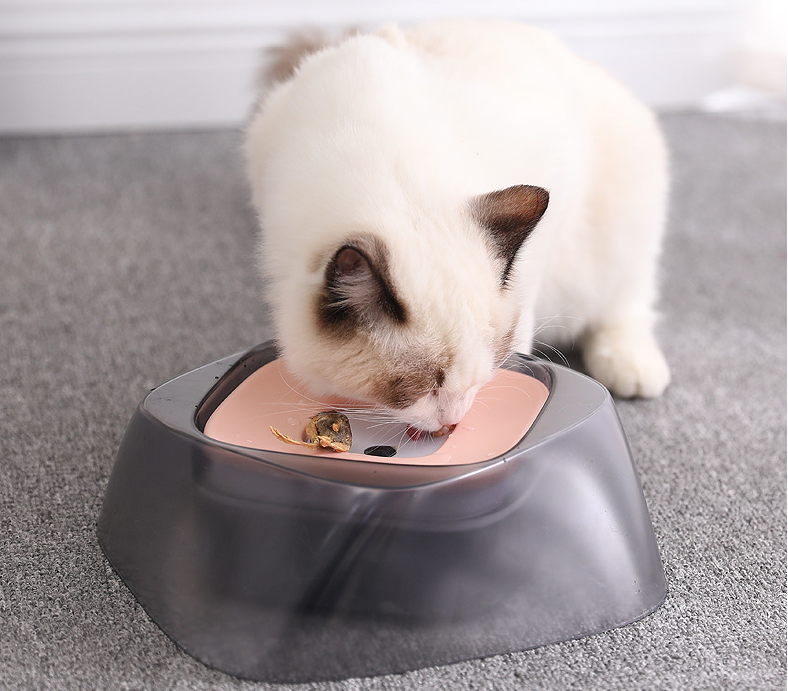 Splash-Free Pet Water Bowl