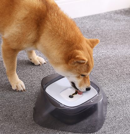 Splash-Free Pet Water Bowl