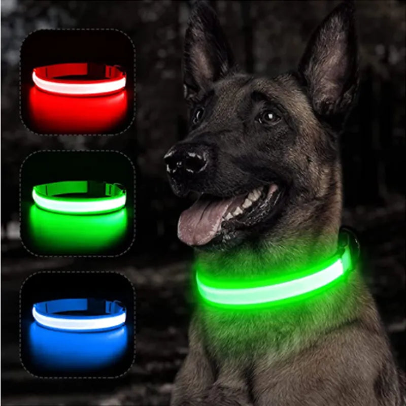 ILLUMISEEN LED Light Up Dog Collar