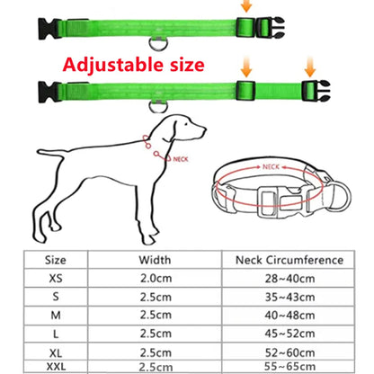 ILLUMISEEN LED Light Up Dog Collar