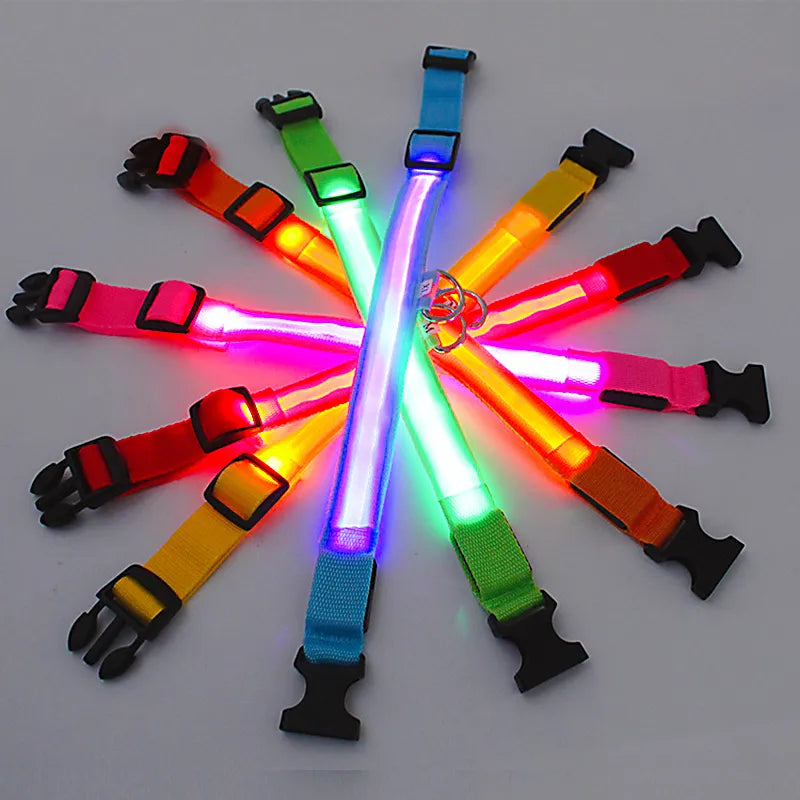 ILLUMISEEN LED Light Up Dog Collar