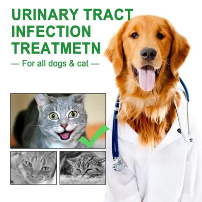 Pet UTI Treatments60ml Powerful Cat Bladder Drops For Urinary Tract Care Multifunction Cranberry Dog UTI Treatments Supplies