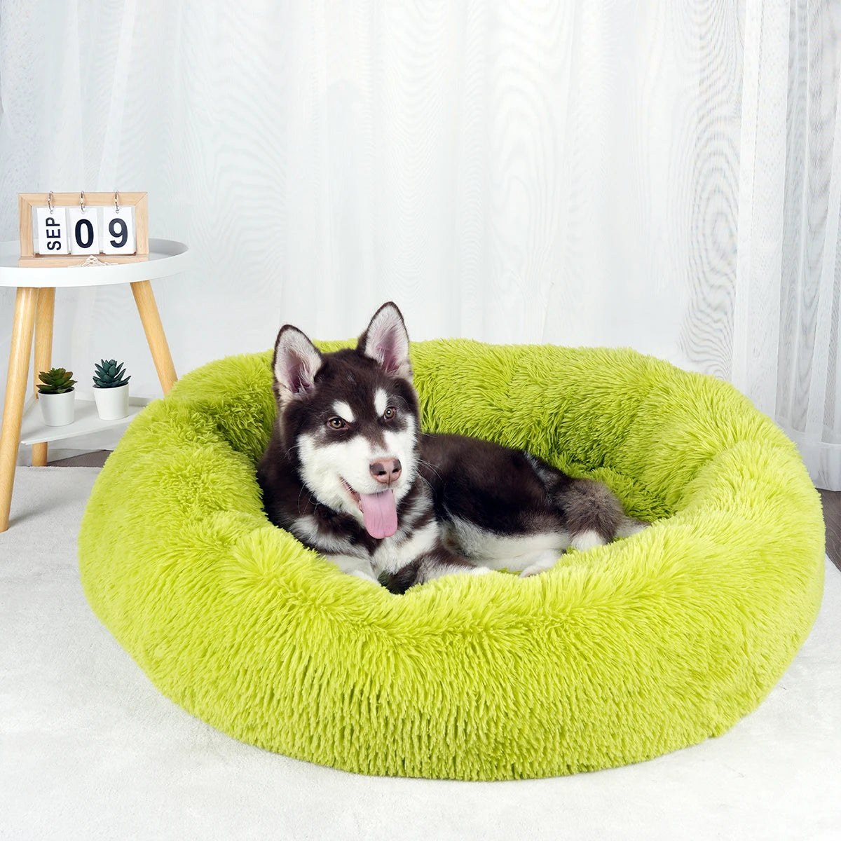 Pet Bed Donut Plush Bed for Dogs/cats washable