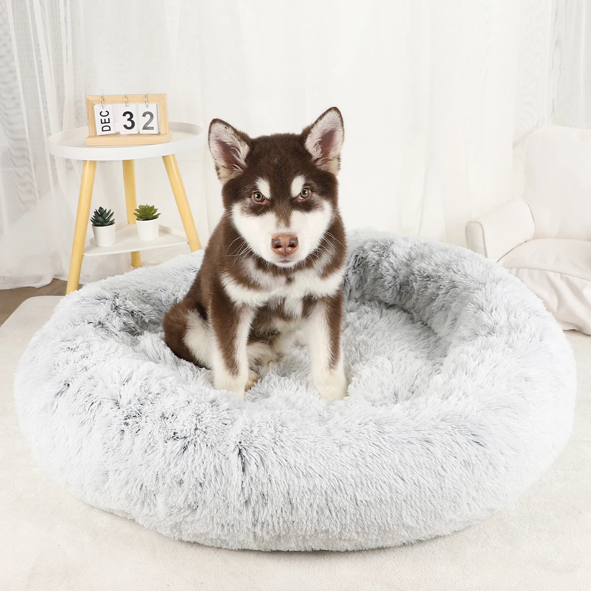 Pet Bed Donut Plush Bed for Dogs/cats washable