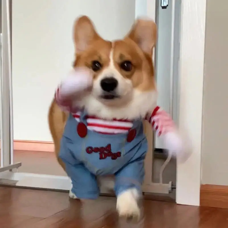 Dog Horror Movie Costume