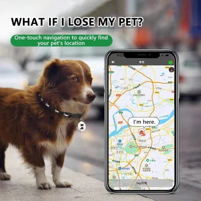 Pet GPS Tracker, Bluetooth Tracker IOS System