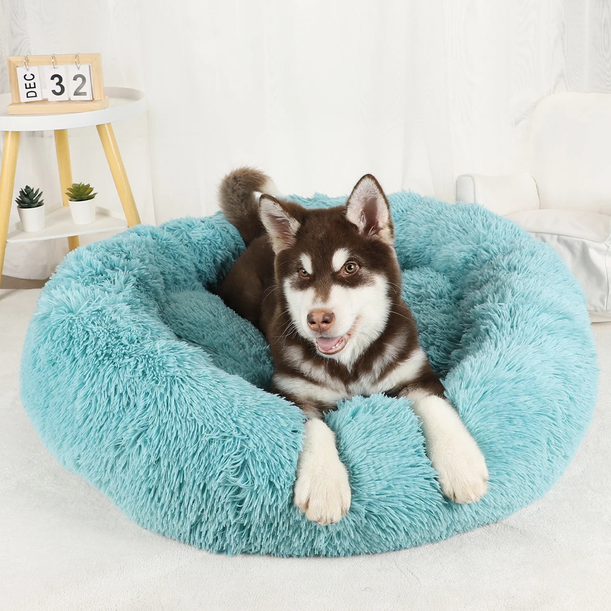 Pet Bed Donut Plush Bed for Dogs/cats washable