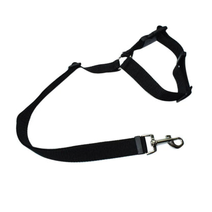 Solid Two-in-one Pet Car Seat Belt