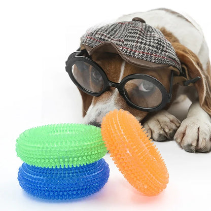 Squeaky Pet Dog Interactive Chew Toy