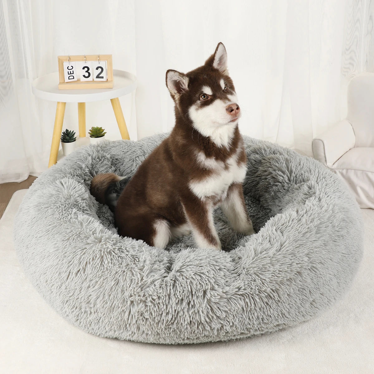 Pet Bed Donut Plush Bed for Dogs/cats washable