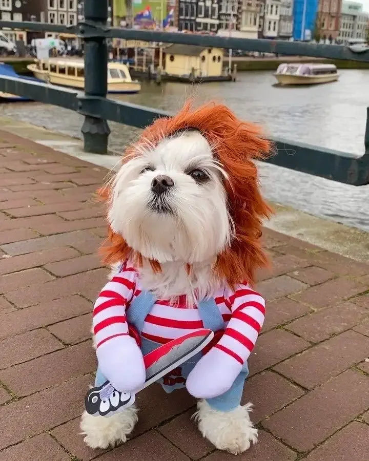 Dog Horror Movie Costume